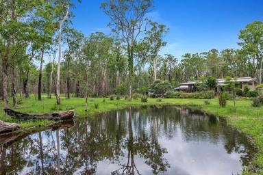 Farm Sold - NSW - Bungawalbin - 2469 - Private Conservation Property on Bungawalbyn Creek  (Image 2)