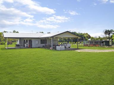 Farm Sold - QLD - Mareeba - 4880 - NEED MORE ROOM FOR PETS?  (Image 2)