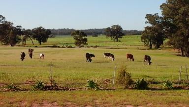 Farm Sold - NSW - Temora - 2666 - 40ha Lifestyle Property  (Image 2)
