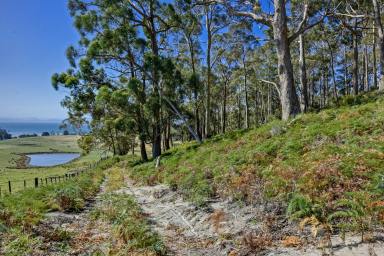 Farm Sold - TAS - Premaydena - 7185 - Live your dreams here and escape to the country!  (Image 2)