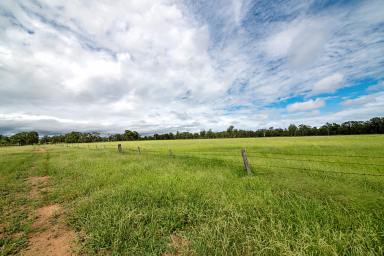 Farm Sold - QLD - Old Talgai - 4362 - MOCATTO CREEK FRONT  (Image 2)