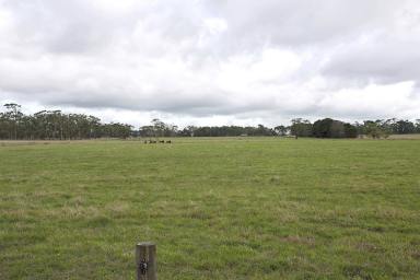 Farm Sold - VIC - Ecklin South - 3265 - Excellent Terang – Timboon District Country  (Image 2)