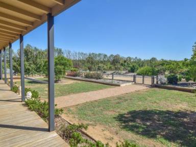 Farm Sold - NSW - Young - 2594 - Country Style Home on 15acs* With Town Water Only 10mins* To Town  (Image 2)
