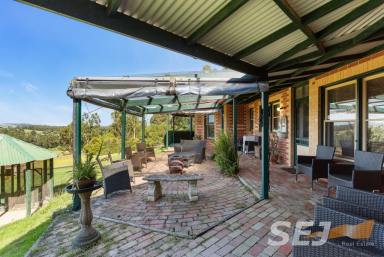 Farm Sold - VIC - Rokeby - 3821 - ATTRACTIVE ROKEBY LIFESTYLE  PRIVACY AND VIEWS  (Image 2)