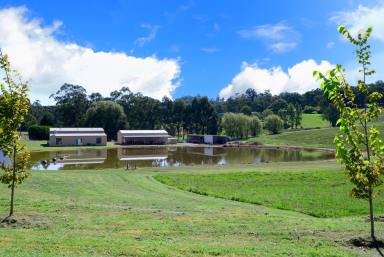 Farm Sold - VIC - Seville - 3139 - Everything You Need on 26 Acres! (approx.)  (Image 2)