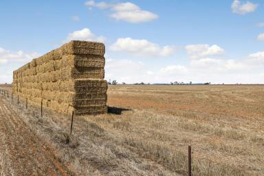Farm Sold - VIC - Bridgewater - 3516 - 380 acres - By Expression of Interest (closing Wednesday 15th April 2020, 12pm)  (Image 2)