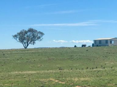 Farm Sold - NSW - Young - 2594 - 41acs With Dwelling Entitlement  (Image 2)