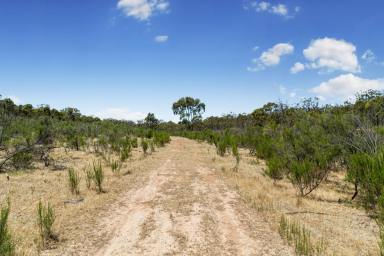 Farm Sold - VIC - Eppalock - 3551 - Space and seclusion  (Image 2)