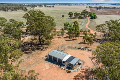 Farm Sold - VIC - Kamarooka - 3570 - Space and seclusion  (Image 2)