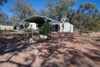 Farm Sold - NSW - Wellington - 2820 - YOUR OWN CONSERVATION AREA  (Image 2)