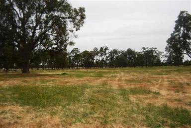 Farm Sold - WA - Elgin - 6237 - ELGIN COUNTRY - ALL GENIUNE OFFERS CONSIDERED!  (Image 2)