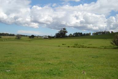 Farm Sold - WA - Brunswick - 6224 - POSITION POSITION POSITION-LONG TERM INVESTMENT PROPERTY  (Image 2)