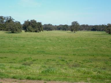 Farm Sold - WA - Benger - 6223 - Simply the best  (Image 2)