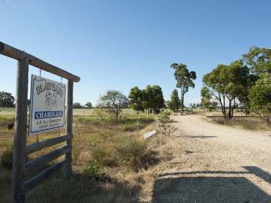 Farm Sold - WA - Elgin - 6237 - REDUCED!  (Image 2)