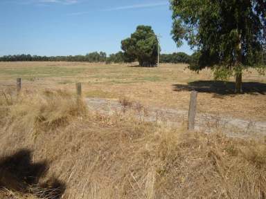 Farm Sold - WA - Elgin - 6237 - Excellent property  (Image 2)