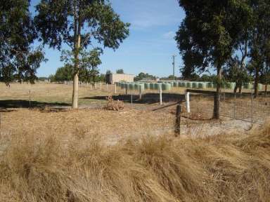 Farm Sold - WA - Elgin - 6237 - Excellent property  (Image 2)