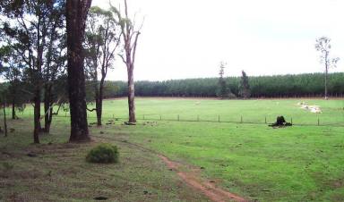Farm Sold - WA - Wellington Forest - 6236 - WELLINGTON FOREST - SHIRE OF DARDANUP  (Image 2)