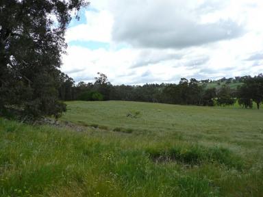 Farm Sold - WA - Boyup Brook - 6244 - "COMES WITH OLD HOUSE  (Image 2)