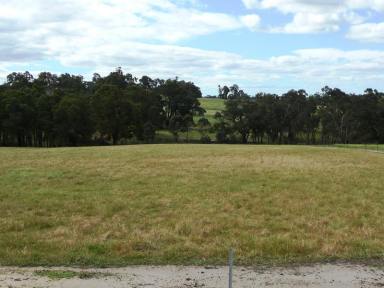 Farm Sold - WA - Boyup Brook - 6244 - COUNTRY RETREAT  (Image 2)