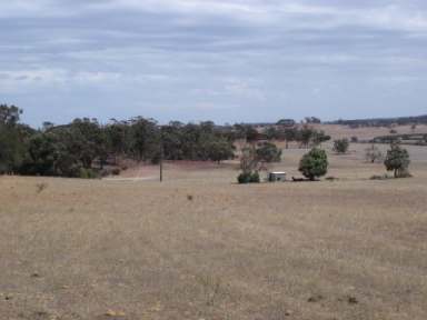 Farm Sold - WA - Boundain - 6312 - ON A CLEAR DAY  (Image 2)