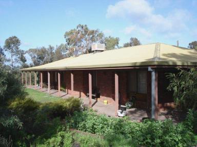 Farm Sold - WA - Narrogin - 6312 - SPECIAL OPPORTUNITY CLOSE TO TOWN - Shire of Narrogin  (Image 2)