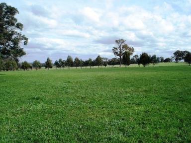 Farm Sold - WA - Mayanup - 6244 - AFFORDABLE TERMS - IN THE SHIRE OF BOYUP BROOK  (Image 2)