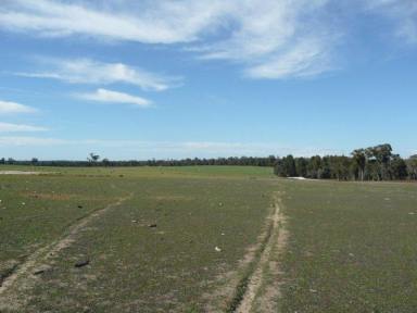 Farm Sold - WA - McAlinden - 6225 - SECLUDED BLOCK  (Image 2)