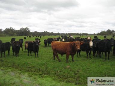 Farm Sold - WA - Cookernup - 6220 - Ideal Cattle Country near Harvey  (Image 2)