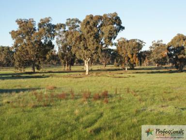 Farm Sold - WA - Beaufort River - 6394 - RURAL SECLUSION  (Image 2)