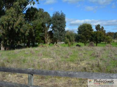 Farm Sold - WA - Harvey - 6220 - YOU HAD BETTER BE QUICK!  (Image 2)