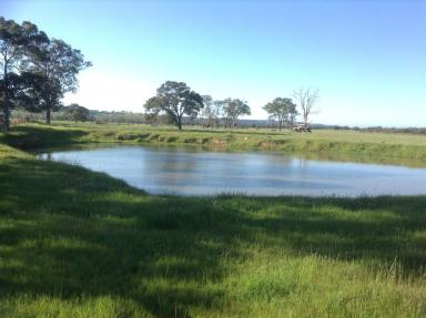 Farm Sold - WA - Benger - 6223 - BUILD IT. AND THE LIFESTYLE WILL COME!  (Image 2)