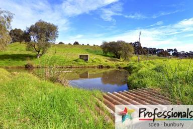 Farm Sold - WA - Henty - 6236 - Dreaming of living in Ferguson Valley?  (Image 2)