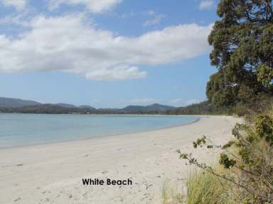 Farm Sold - TAS - White Beach - 7184 - White Beach Holiday Villas - What an Opportunity!  (Image 2)