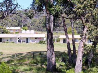 Farm Sold - TAS - White Beach - 7184 - White Beach Holiday Villas - What an Opportunity!  (Image 2)