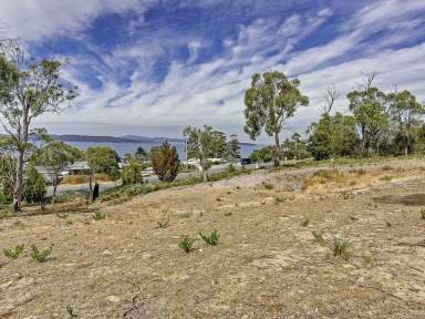 Farm Sold - TAS - Primrose Sands - 7173 - DIVE IN FOR A SEA CHANGE  (Image 2)