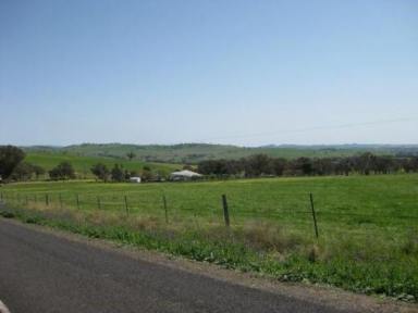 Farm Sold - NSW - Cowra - 2794 - 88 ACRES WITH 3 BEDROOM HOMESTEAD -  GOOD LAND WITH GRAZING, ORCHARD & LUCERN,  (Image 2)