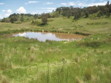 Farm Sold - NSW - Ilford - 2850 - FREEHOLD 960 ACRES – ILFORD, RYLSTONE AREA  (Image 2)