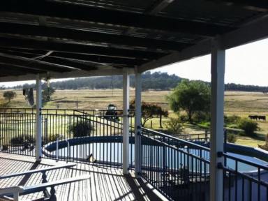 Farm Sold - QLD - Ramsay - 4358 - "SHAMMAH PARK' 135 ACRE GRAZING PROPERTY AND FARMSTAY – RAMSAY, DARLING DOWNS, Q  (Image 2)