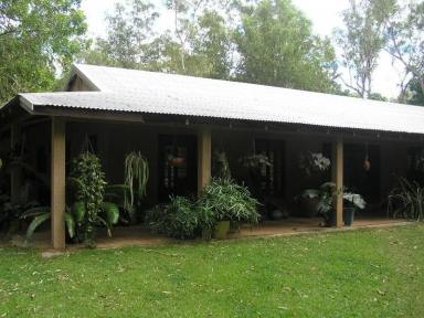 Farm Sold - NT - Howard Springs - 0835 - Beautiful tropical house - architecturally designed - set on 5 acres  (Image 2)