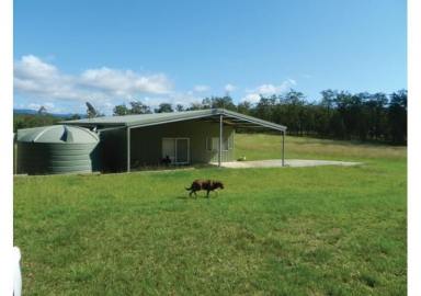 Farm Sold - NSW - Ewingar - 2469 - 2 Luxury Homes on 95 Acres with Olive Grove & Forestry  (Image 2)