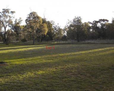 Farm Sold - NSW - Grong Grong - 2652 - FANTASTIC OPPORTUNITY TO SECURE 1 ACRE  (Image 2)