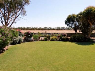 Farm Sold - SA - Murray Bridge - 5253 - Character 3 bed house & extensive shedding on 20acres - Zoned Primary Production  (Image 2)