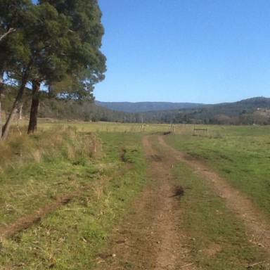 Farm Sold - TAS - Kimberley - 7304 - LARGE ACREAGE - EX DAIRY - GOOD SOIL - APPROXIMATELY 2KM RIVER FRONTAGE - POTENTIAL FOR FARMSTAY / PLATYPUS VIEWING  (Image 2)