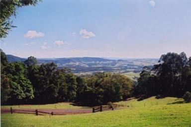 Farm Sold - NSW - Jamberoo - 2533 - 10 ACRES - MAGNIFICENT VIEWS OF ROLLING HILLS AND PACIFIC OCEAN - PERMANENT CREEK ON THE LAND  (Image 2)