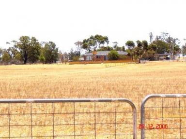 Farm For Sale - NSW - Condobolin - 2877 - PORT VIEW  (Image 2)