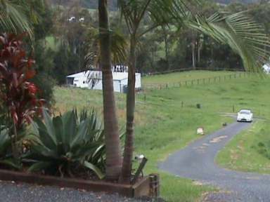 Farm Sold - NSW - Coffs Harbour - 2450 - Make An Offer!!! CHEAP HOBBY FARM  WITH LOVELY 3 BEDROOM HOME -  (Image 2)