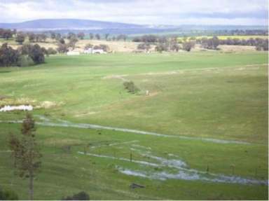 Farm Sold - NSW - Cowra - 2794 - KNOWN AS KIA-ORA - 1000 ACRE PRODUCTIVE FARM IN PRIME LAMB & WOOL REGION  - EXCELLENT WATER (GREAT  (Image 2)