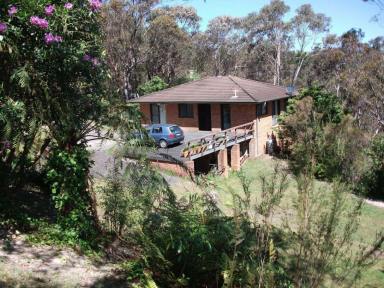 Farm For Sale - NSW - Hazelbrook - 2779 - 2 HOUSES FOR THE PRICE OF ONE - 1.5 ACRES AND 2 TITLES  (Image 2)