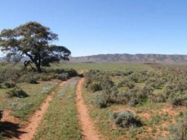 Farm Sold - SA - Port Augusta - 5700 - LAND SALE - GREAT HOBBY FARM, RURAL RETREAT OR DEVELOPMENT OPPORTUNITY  (Image 2)