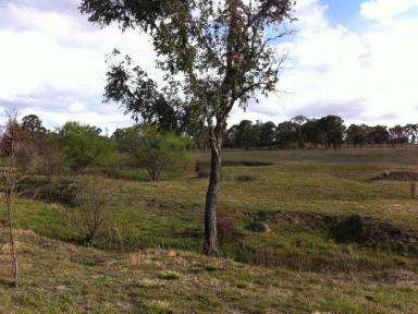 Farm Sold - NSW - Uralla - 2358 - LAND FOR SALE Uralla near Armidale NSW, 5 acre (2 ha) zoned rural-residential  (Image 2)